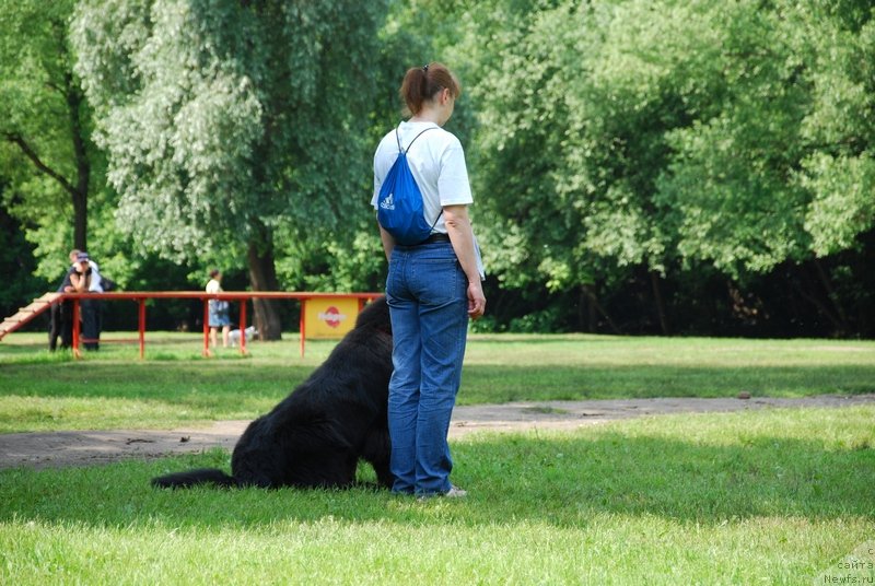 Фотография № 128073