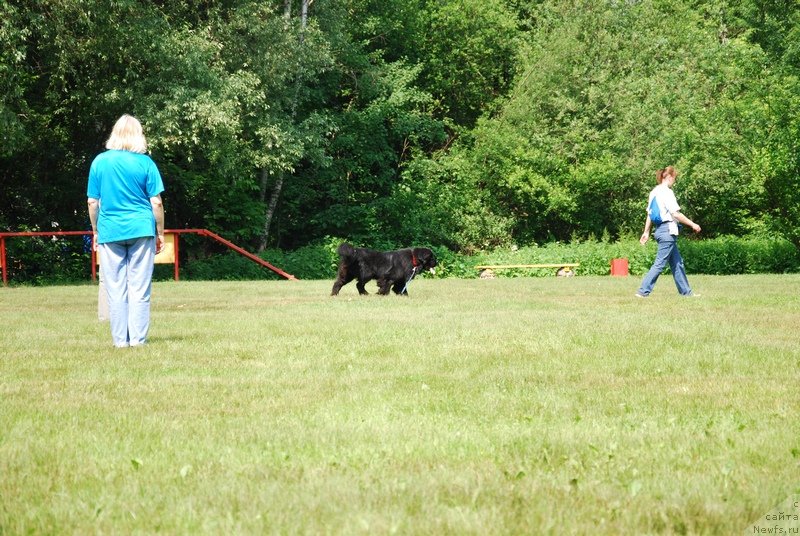 Фотография № 128074