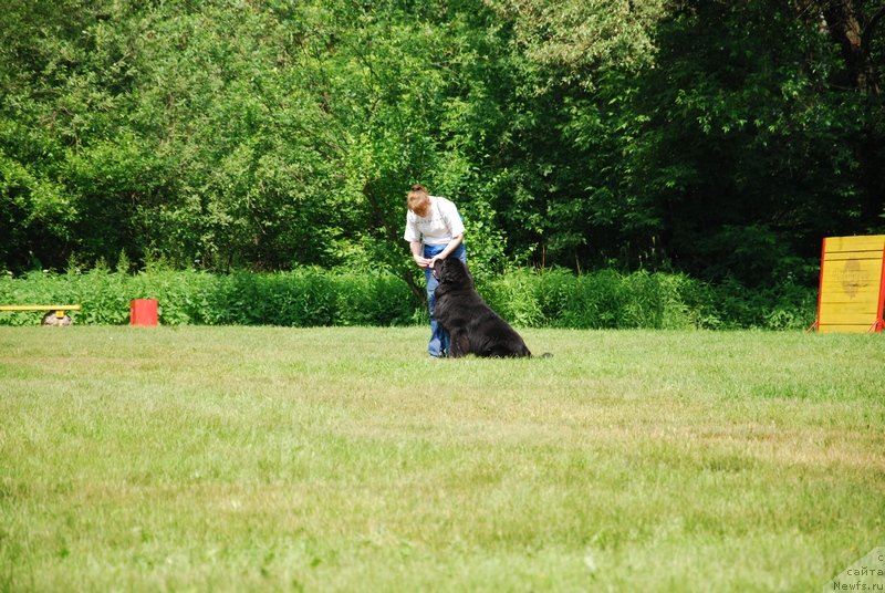 Фотография № 128075