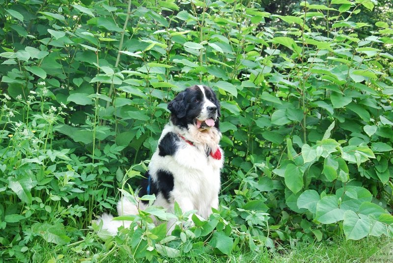 Фотография № 128080