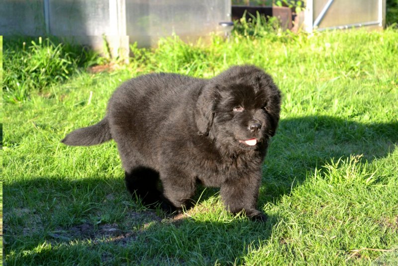 Фотография № 128081