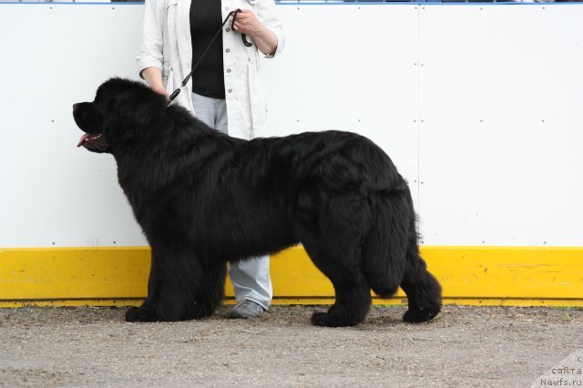 Фотография № 128087