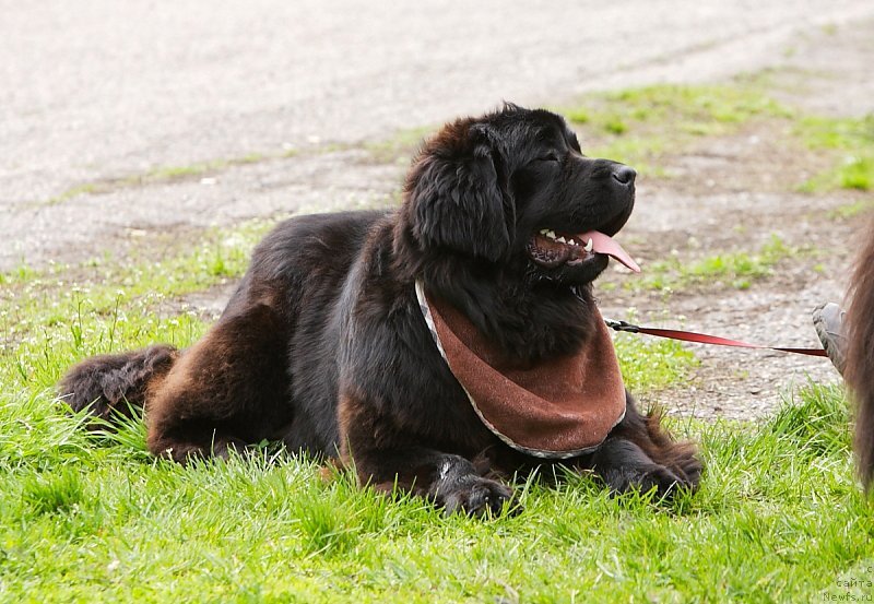 Фотография № 128088