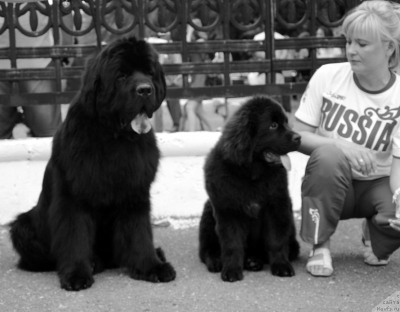 Фотография № 128104