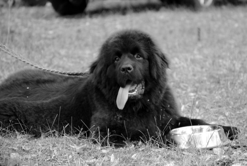 Фотография № 128106