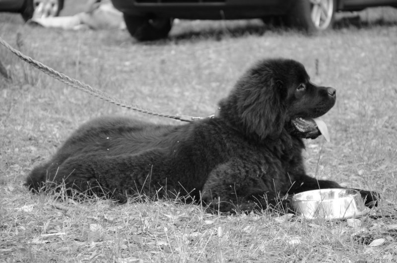 Фотография № 128108