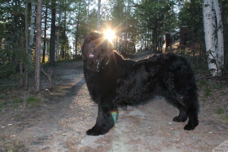 Фотография № 128111