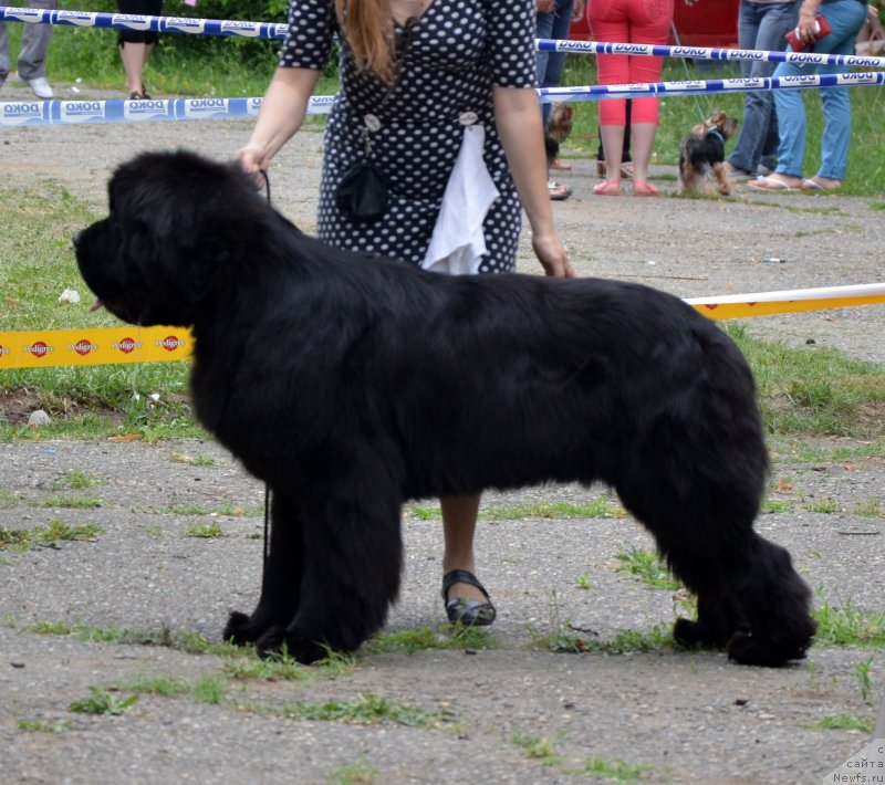 Фотография № 128112