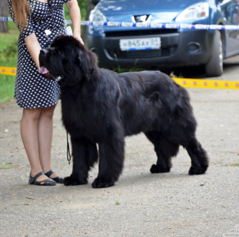 Фотография № 128116