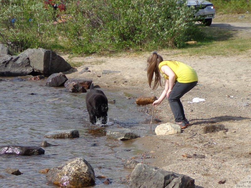 Фотография № 128118