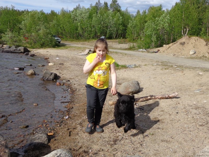 Фотография № 128119