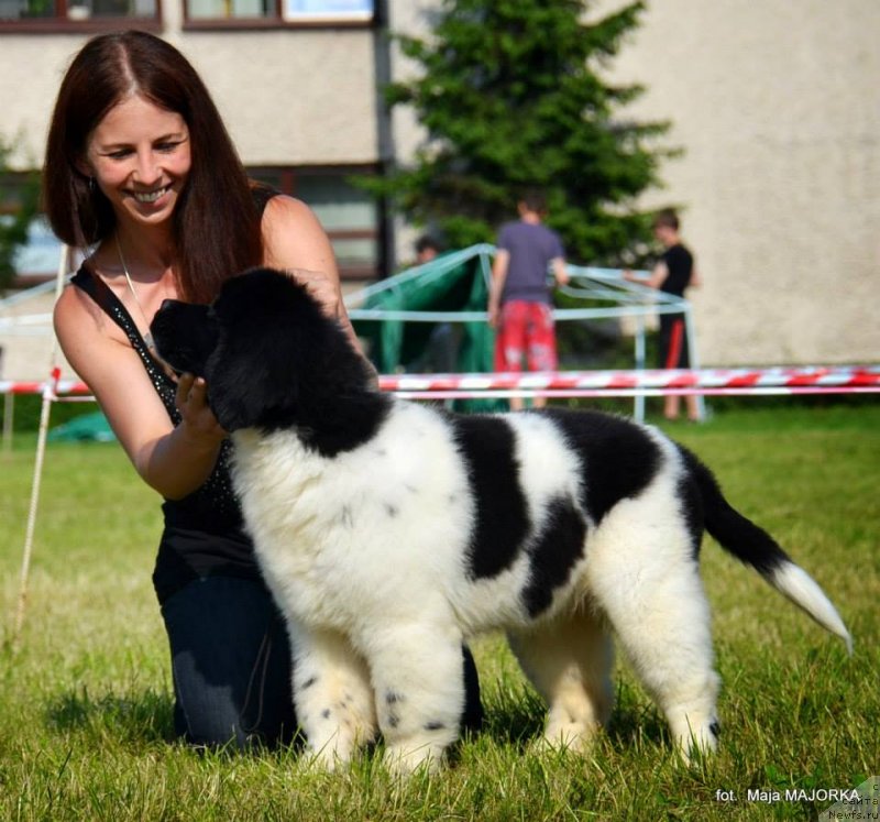 Фотография № 128120