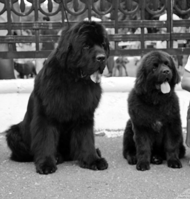 Фотография № 128122