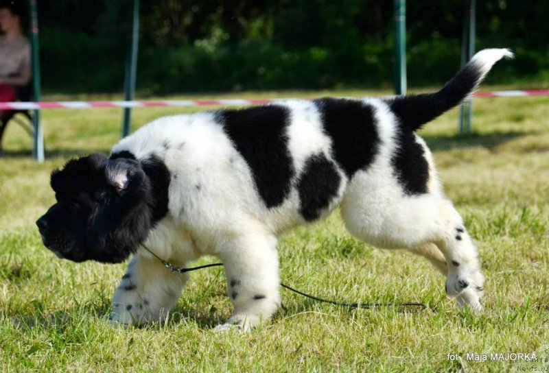 Фотография № 128124