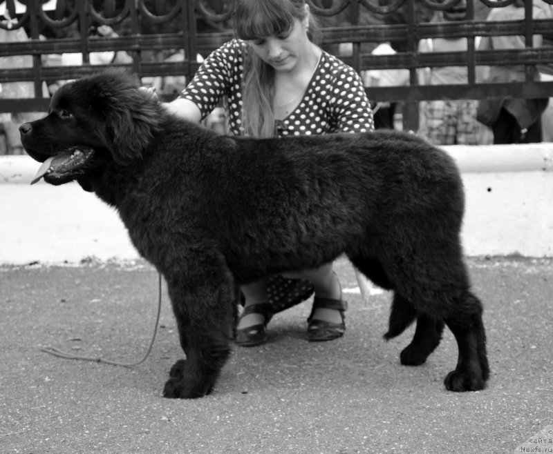 Фотография № 128125