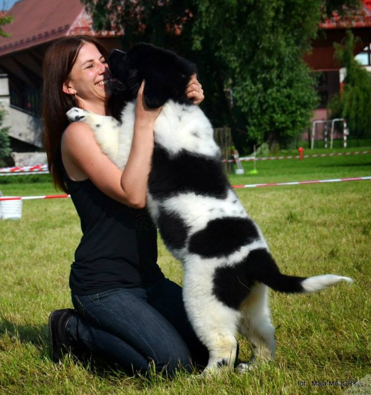 Фотография № 128127