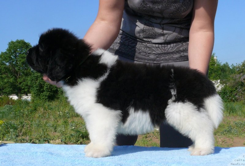 Фотография № 128138