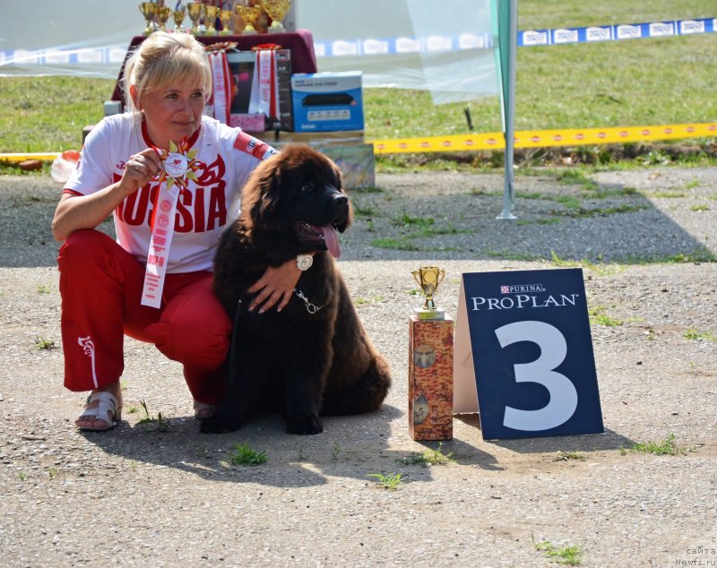 Фотография № 128141