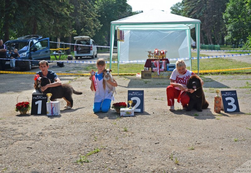 Фотография № 128142