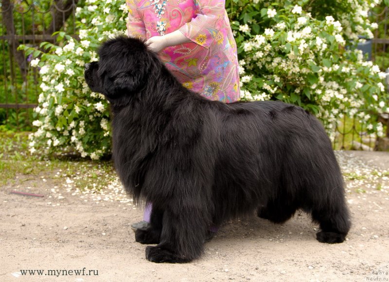 Фотография № 128158