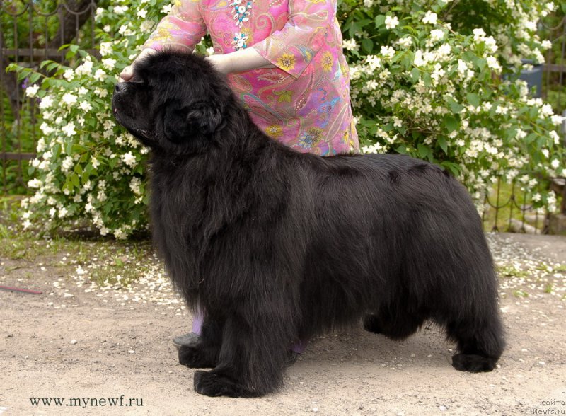 Фотография № 128159