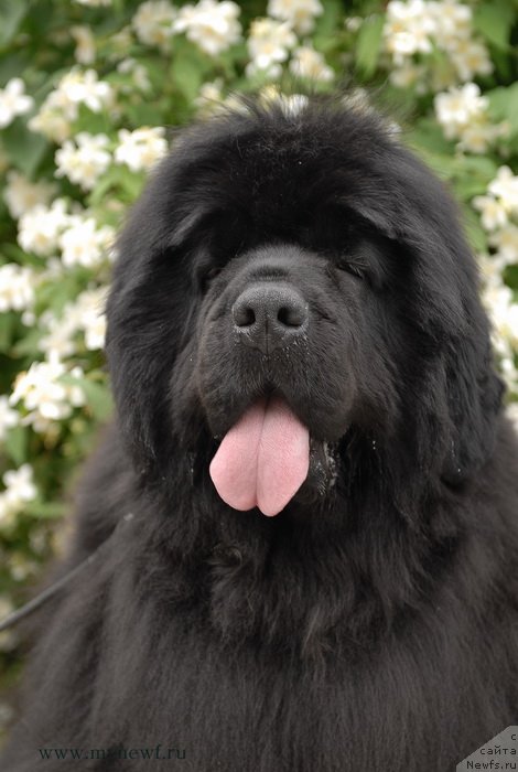 Фотография № 128162