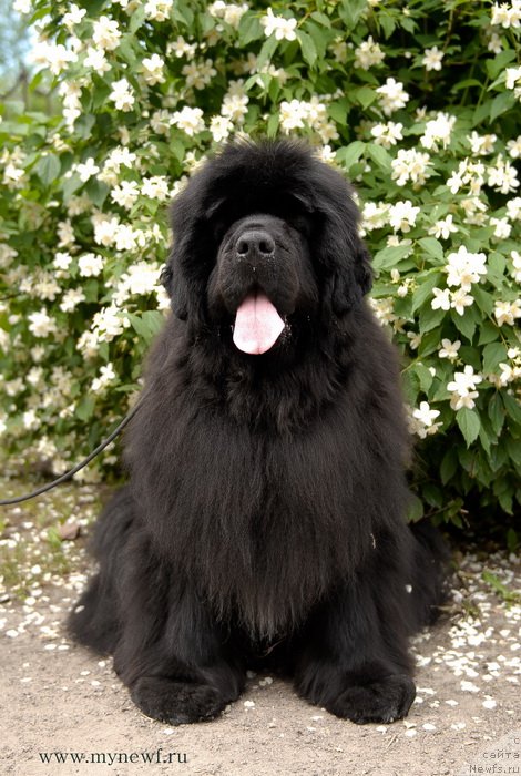 Фотография № 128165