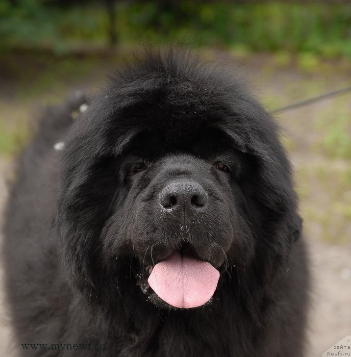 Фотография № 128168