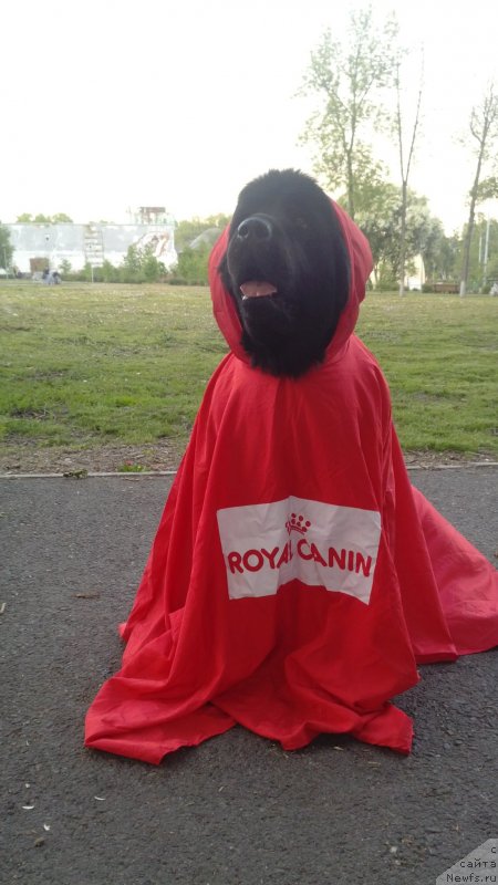 Фотография № 128171