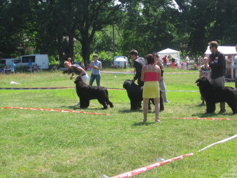 Фотография № 128173