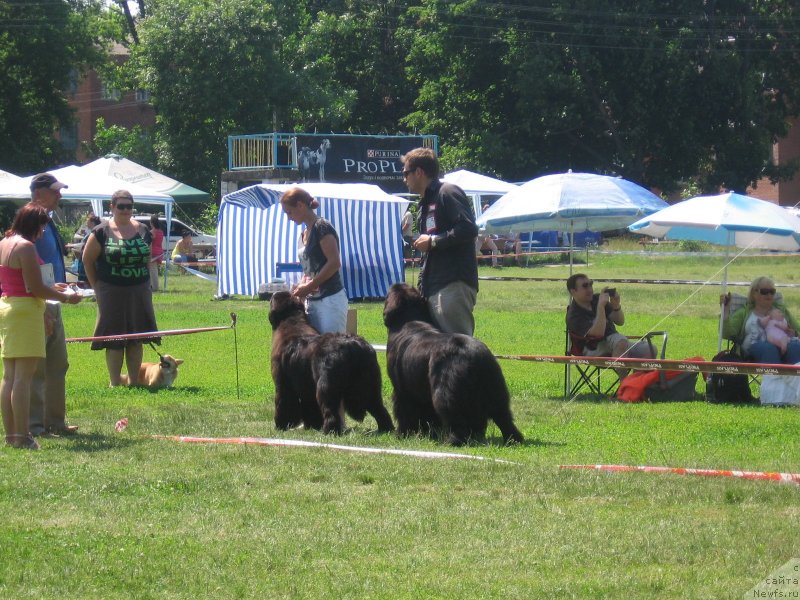 Фотография № 128174