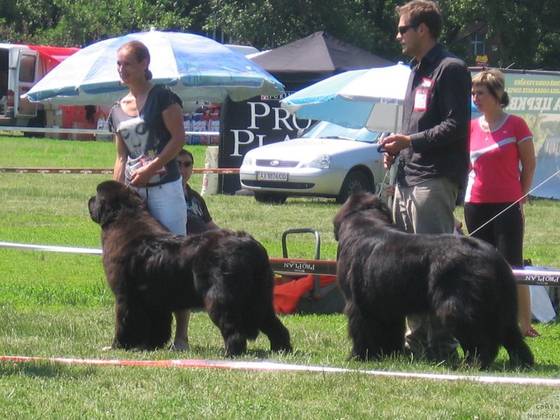 Фотография № 128175