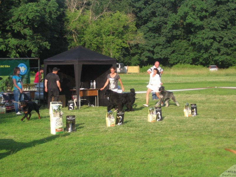 Фотография № 128176