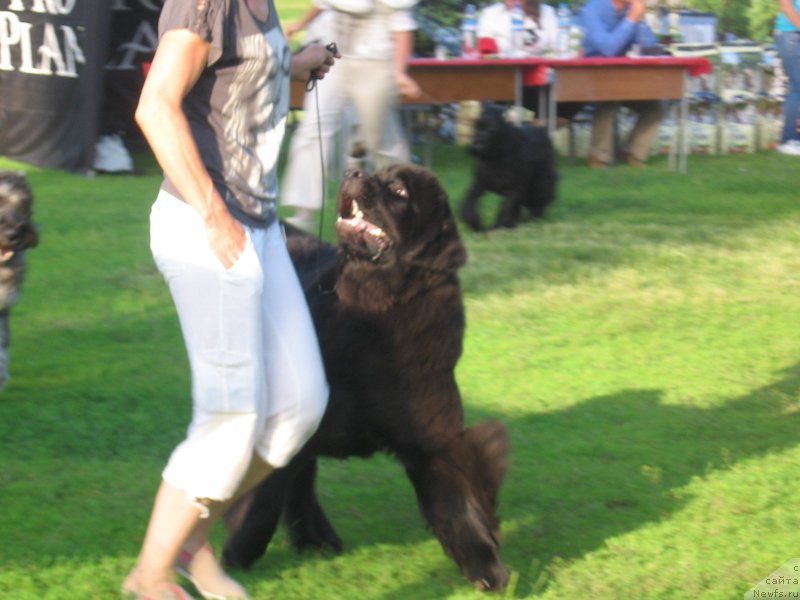 Фотография № 128177