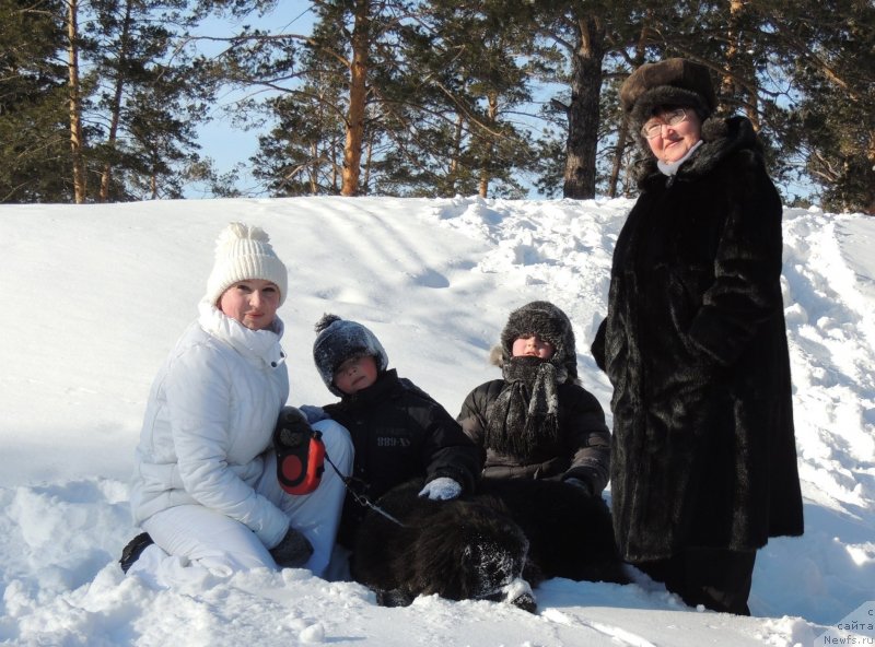 Фото: ньюфаундленд Би Перфект Арабелла, Ирина Павлова