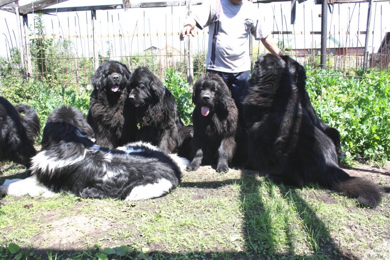 Фотография № 128232