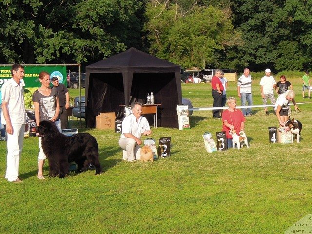 Фотография № 128269