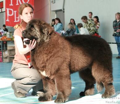 Фотография № 12831