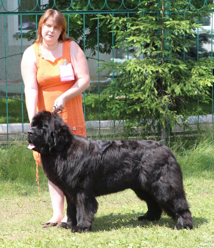 Фотография № 128317