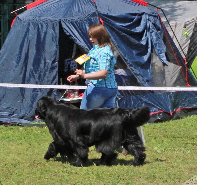 Фотография № 128321