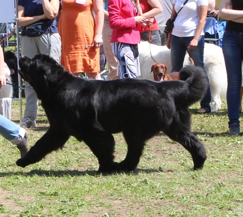 Фотография № 128323