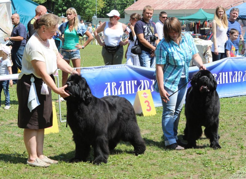 Фотография № 128324