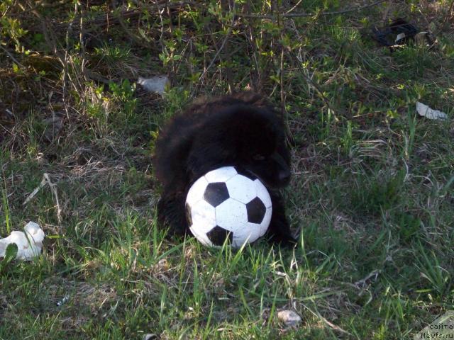 Фото: Яна Рамазанова