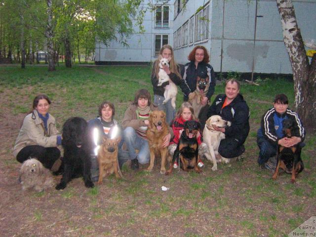 Фото: Дарья Гусынина, ньюфаундленд Арманьяк Души Моей, Линда, Максим -Жульена, Егор -Данай, Настя -Стелла, Артем -Лео, Таня -Герта, Ксюша -Малыш, Лена -Степка