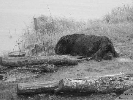 Фотография № 128482