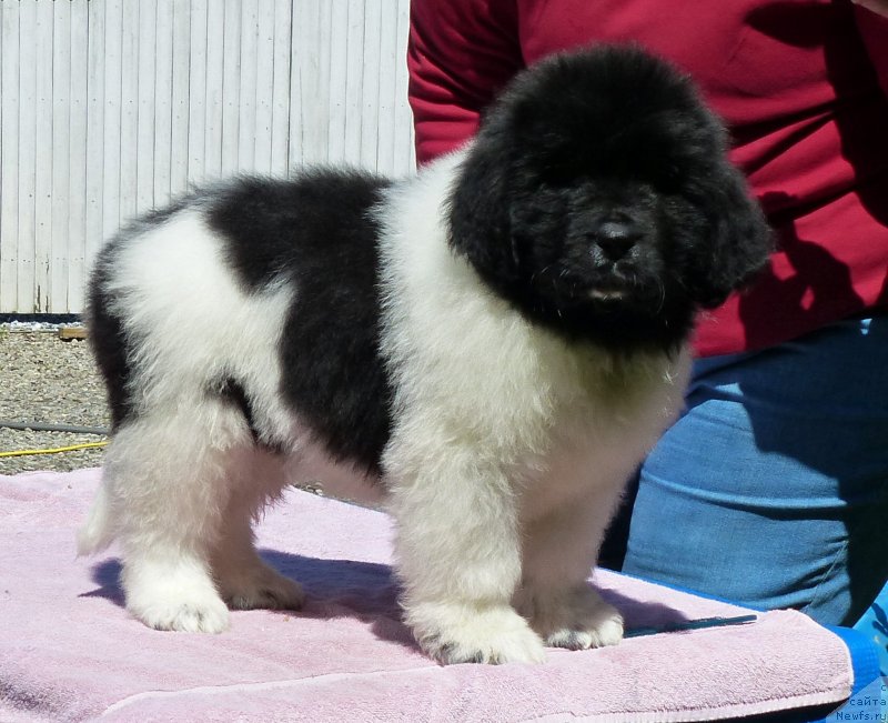 Фотография № 128504