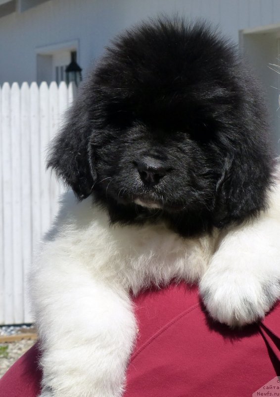 Фотография № 128506