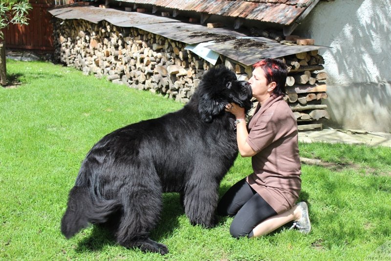 Фотография № 128509