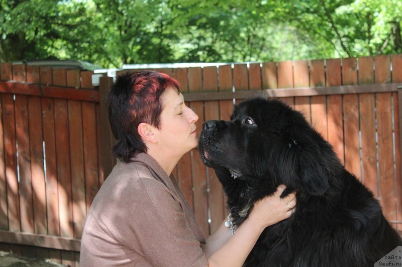 Фотография № 128514