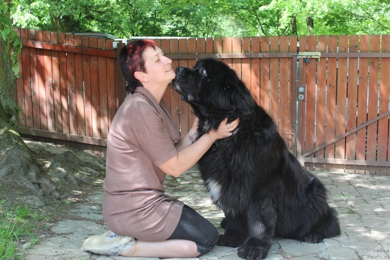 Фотография № 128515